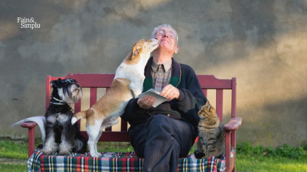 Beneficiile animalelor de companie pentru oamenii în vârstă