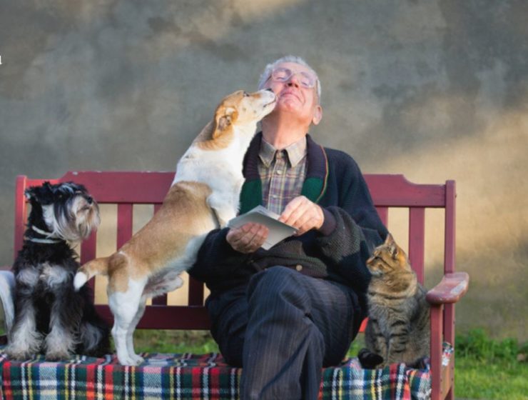 Beneficiile animalelor de companie pentru oamenii în vârstă
