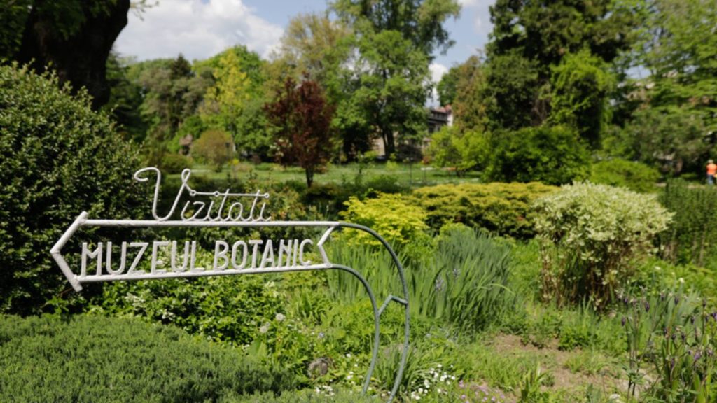 Grădina Botanică „Dimitrie Brândză”