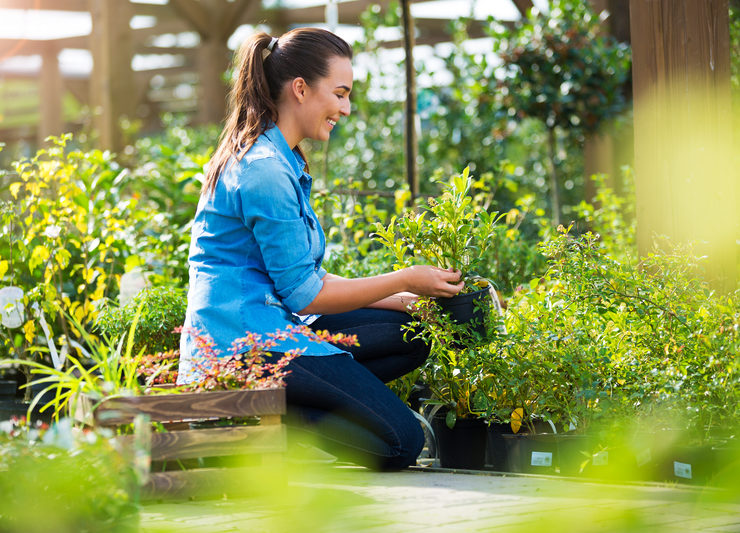 7 beneficii ale grădinăritului și ale lucrărilor în curte asupra sănătății tale mintale