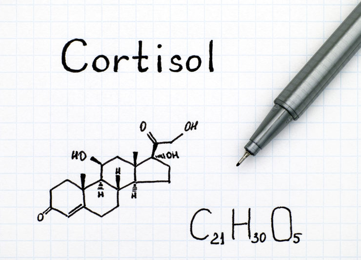 Cortizol - hormonul stresului: Cum ne influențează și cum îl ținem sub control