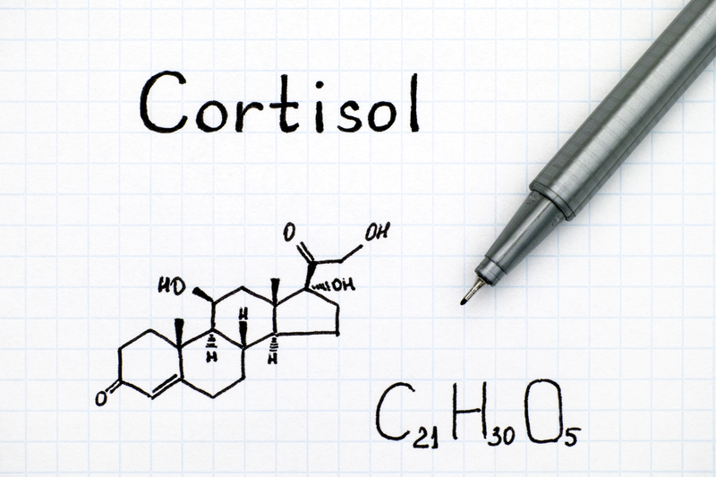 Cortizolul - hormonul stresului: Cum ne influențează și cum îl ținem sub control