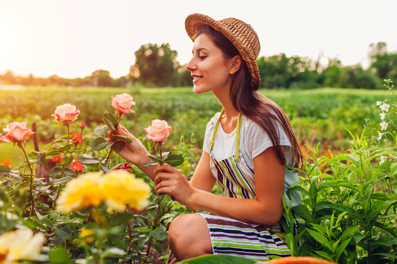 Jardinoterapia: Beneficiile grădinăritului și a interacțiunii cu plantele