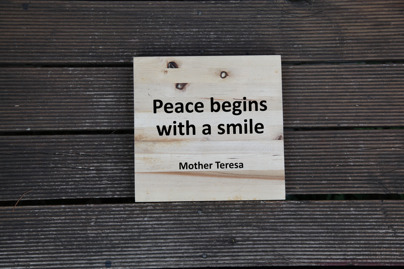 Maica Tereza: O viață dedicată dragostei și compasiunii pentru cei sărmani și bolnavi