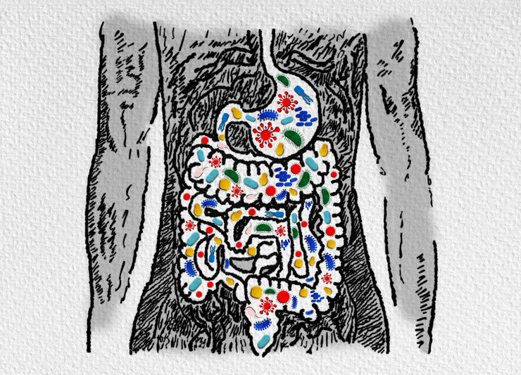 Microbiomul intestinal și rolul lui esențial în starea noastră de bine
