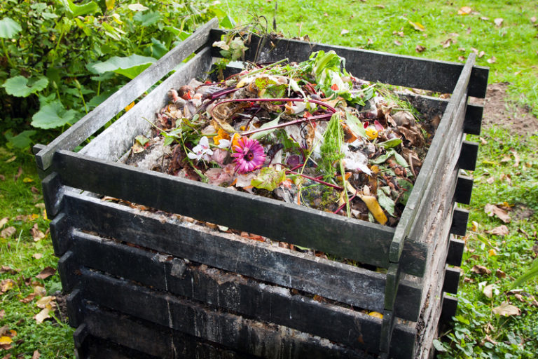 Cum să începi compostarea acasă